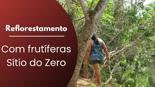 quotUm Novo Ciclo Reflorestamento Sustentável sustentabilidade meioambiente natureza ecologia [upl. by Ahseek]