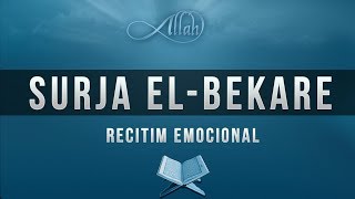 Surja el Bekare [upl. by Annahs]