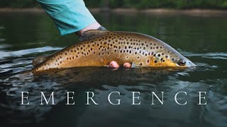 EMERGENCE  Summer Fly Fishing on the White River  2023 IF4 Stimmie Nominee [upl. by Androw]