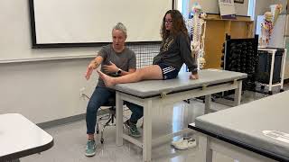 Ankle PNF Strengthening  Slow Reversals for Dorsiflexion  Inversion [upl. by Ayital]