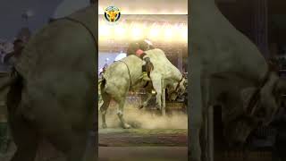 ¡EL GRAN KHALI Un toro que divide opiniones en el jaripeo🔥 [upl. by Boys]