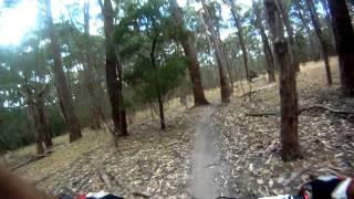 Mountain Biking at Lysterfield  Aneurysm Trail [upl. by Marte]