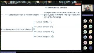 FISIOLOGIA FISIOPATOLOGIA  FASE 2  RECUPERACION 03 [upl. by Meghan135]