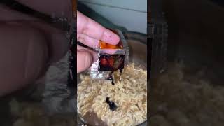 Ramen noodles 🍜 food subscribe ramen noodles ytshorts [upl. by Nodnerb]