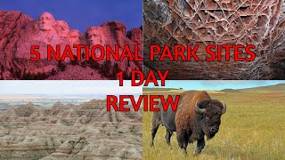 Mount Rushmore Wind Cave Custer Badlands and Devils Tower in 1 Day South Dakota National Parks [upl. by Kono456]