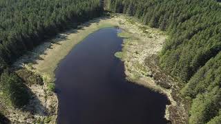 Loughnafanogy Glenariff forest park drone aerial footage [upl. by Lauretta518]