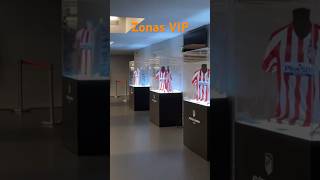 Zonas VIP Resumen temporada [upl. by Kessel]