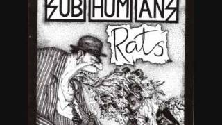 Subhumans  Rats [upl. by Pasahow]