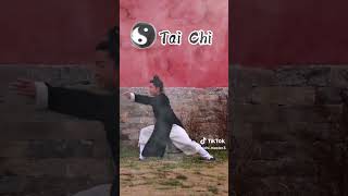 Use tai chi the right way and do the right thing taichi martialarts taichimaster taichichines [upl. by Gnov]