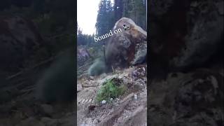 landslide youtubeshorts nature roadtripsongs bhojpurisong sound forest mountains pahadi [upl. by Kirchner219]