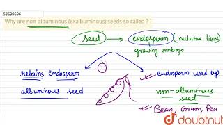 Why are nonalbuminous exalbuminous seeds so called [upl. by Kroy454]