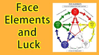 Basic Knowledge of Face Reading Face Elements and Age Luck on Face Free Face Reading Course [upl. by Isawk]