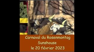 Carnaval de Sundhouse du 20 février 2023 [upl. by Cianca]