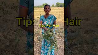 How To stop White Hair  Hiw to grow grow Healthy hair [upl. by Aneekat]