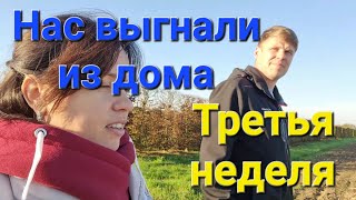 Парный экипаж Третья неделя в Boekestijn [upl. by Lebatsirhc]