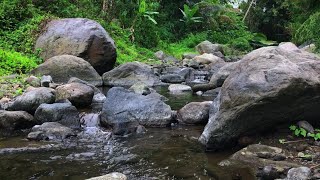 Relaxing River Sound gurgling water relieves stress sound for sleep for studying and meditation [upl. by Linoel]