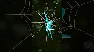 🕷️ Lets Learn About Spider Webs 🕸️ [upl. by Lambert]