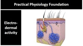 practical physio found  Electrodermal activity  Adham Saleh [upl. by Suoivatnom]