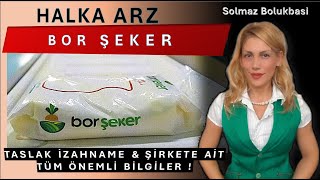 YENİ HALKA ARZ BOR ŞEKER  ŞİRKETE DAİR TÜM BİLGİLER [upl. by Ahsenit267]