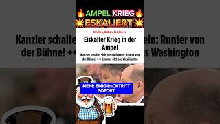 💥EIL💥 AMPEL STREIT AM SIEDEPUNKT🔥⚠️ afd politik scholz habeck lindner spd weidel bsw höcke [upl. by Eimarrej587]