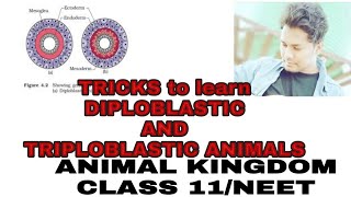 TRICKS to learn DIPLOBLASTIC and TRIPLOBLASTIC ANIMALSANIMAL KINGDOMCLASS 11NEET [upl. by Garvy]