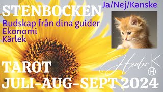 Stenbocken ♑️ JuliAugustiSeptember 2024 Tarot  Healer K [upl. by Kikelia]