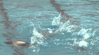 TRIO CD YMCA Sculpins Synchro Masters  2010 US Masters Synchro Championships [upl. by Hairahcez105]