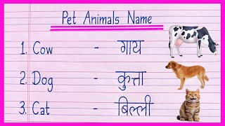 10 Pet Animals Name in English and HindiPet Animals Nameपालतू जानवरों के नामPaltu Janwar Ke Naam [upl. by Daisey]