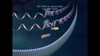 Truvada HIV Drug Therapy  Medical Animation by Watermark [upl. by Lodovico]