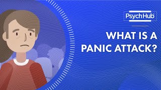 What is a Panic Attack [upl. by Aelram]