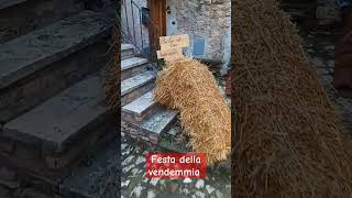 Festa della Vendemmia wine [upl. by Loise]