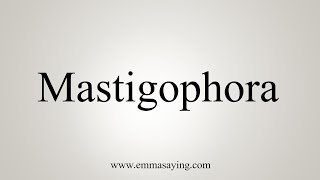 How To Say Mastigophora [upl. by Avle475]