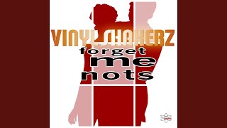 Forget Me Nots Vinylshakerz Softmode Mix [upl. by Clarie]