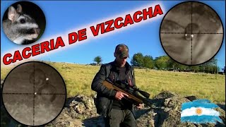 cacería de vizcacha con pcp p15 [upl. by Gibbeon]