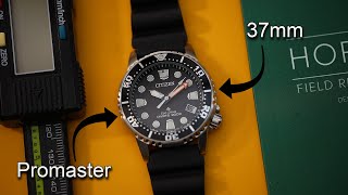 37mm CITIZEN Promaster Dive EcoDrive Pro Diver Best Dive Watch for Smaller Wrists Solar EO202008E [upl. by Piane318]