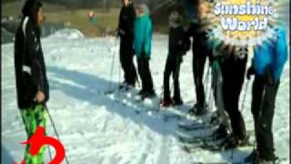 Learn To Ski Lesson 7  Snowplough To Parallel Turns [upl. by Markiv600]