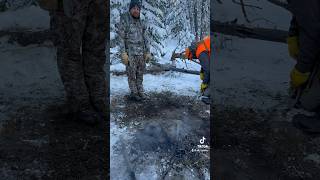 2 Cow Elk Tags  Sleep in the Woods Not planned but we made it Muledeer elk montana november [upl. by Hull]