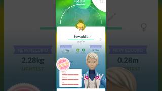 Catching HUNDO sewaddle from community day gaming pokemongo shorts hunting shinypokemon [upl. by Esilec]