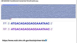 Biotechniques  Principles of Primer Design for Full Gene Amplification [upl. by Lloyd]