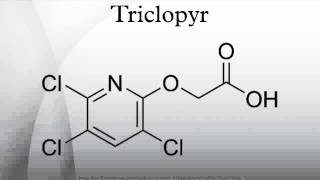 Triclopyr [upl. by Quartet764]