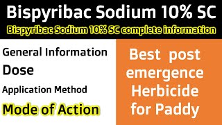 Bispyribac Sodium 10 SC  Uses  Dose Model of Action  Products [upl. by Adora]