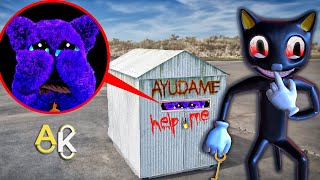 CATNAP vs CARTOON CAT en La Vida Real  Poppy Playtime 3 SCP [upl. by Nolahc]