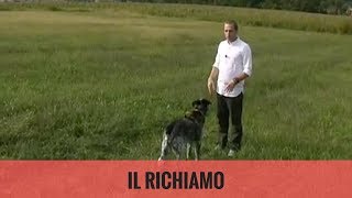 Il richiamo [upl. by Kawai]