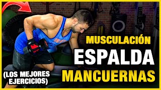 🔴 Los Mejores Ejercicios MANCUERNAS ESPALDA  GUIA MUSCULACION ESPALDA CON MANCUERNAS [upl. by Akinas]