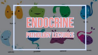 ENDOCRINE PATHOLOGY lecture 15 Pathogenesis of type 1 DIABETES in easy way [upl. by Vassar220]