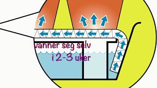 La selvvaningsbrettet med vanningsmatte gjør vannejobben når du er på ferie [upl. by Ttennej]