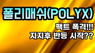 폴리매쉬POLYX분석영상ㅣ팩트 폭격지지후 반등 시작아무도 알려주지 않는 비법 공개 [upl. by Mcneil]