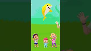 Bébé Requin Doo Doo shorts  Bebefinn en français 👶 Chansons pour Enfants [upl. by Dnalyag]