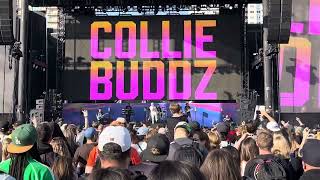 Collie Buddz  Come Around Live at Cali Vibes 2024 [upl. by Marchese]