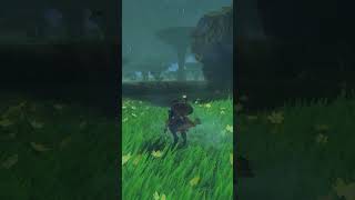 BOTW Zelda Hunting Thunderwing Butterfly Electric Darner Thundra Plateau [upl. by Ylac]